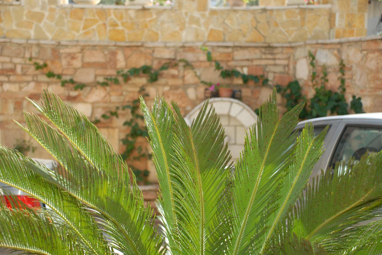 מלון סרנדה Olive Tree מראה חיצוני תמונה